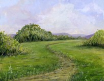 Big Meadows
