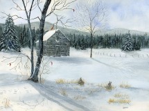 Puckett Cabin 1