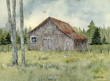 Rappahannock Spring