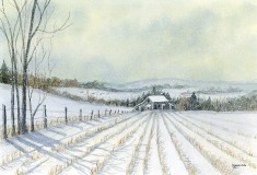 Silent Snow