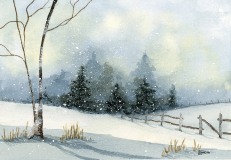 Silent Snow