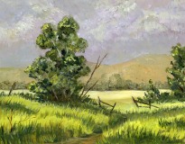 Summer Meadow